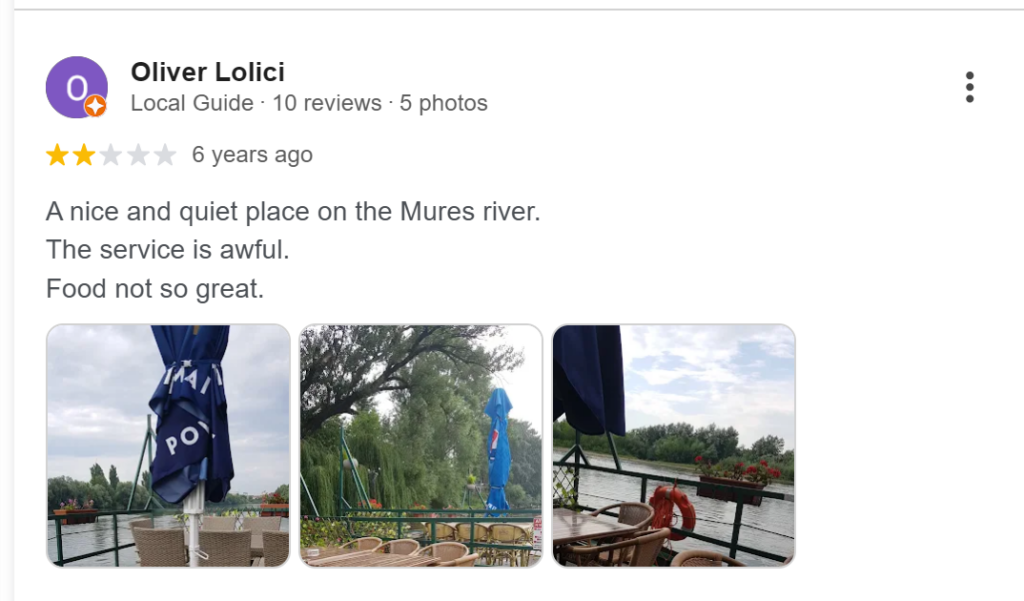 google review 1